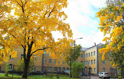 Частное учреждение здравоохранения "Больница "РЖД-Медицина" города Выборг"